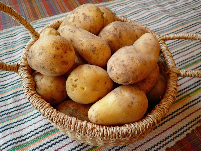 7b9d87cdc03533345158f38fe761763e_s